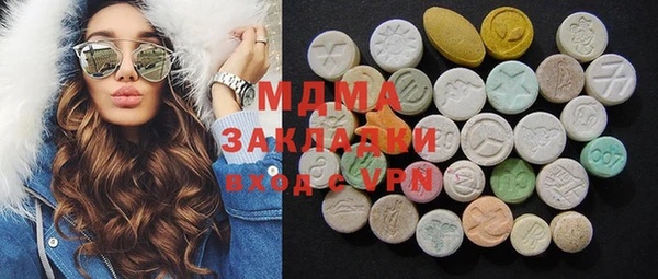 индика Алексин