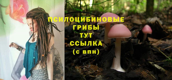 шишки Абдулино