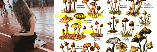 шишки Абдулино