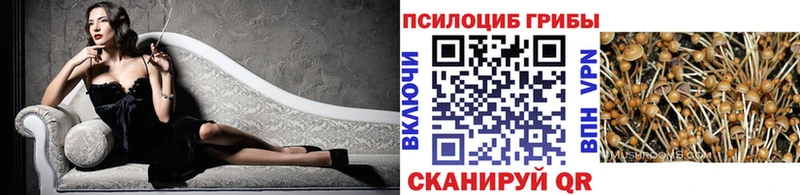 Псилоцибиновые грибы GOLDEN TEACHER где найти Камень-на-Оби