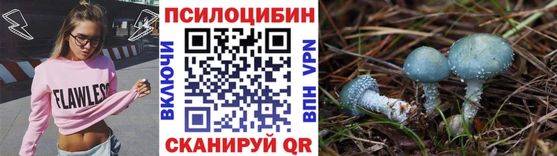 Галлюциногенные грибы мицелий Камень-на-Оби