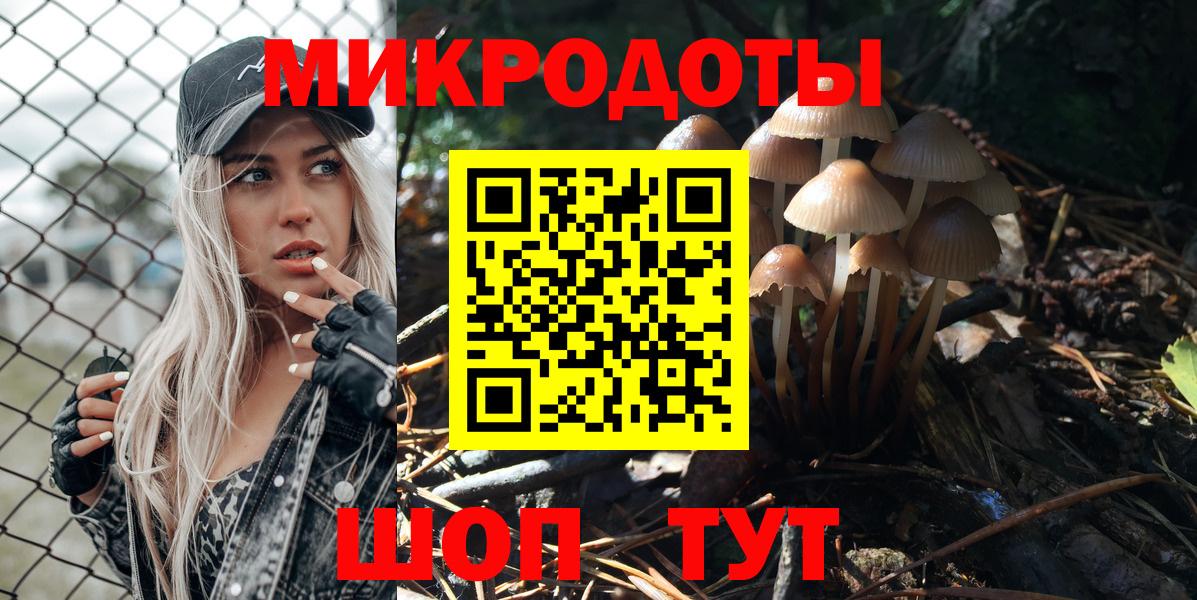 Псилоцибиновые грибы Magic Shrooms  Вход с VPN  Камень-на-Оби 